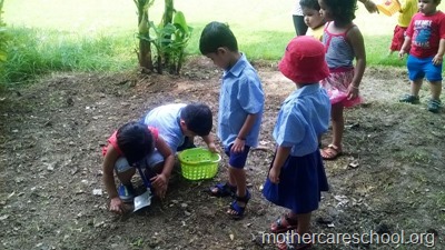 children planting neem seeds at nursery school (5)