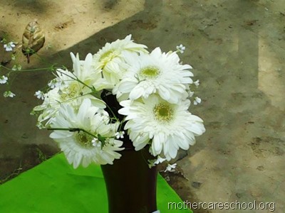 flower arrangement mothercare school, aliganj, lucknow (3)