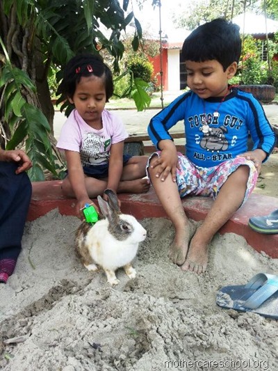 happy children with rabbit (2)