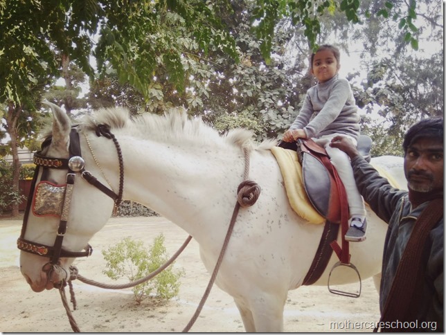 horse riding (1)