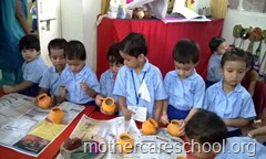 janamashtmi at Mothercare school, lucknow (6)