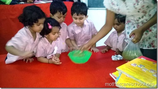 Mothercare school kids planting (10)