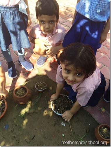 Mothercare school kids planting (13)