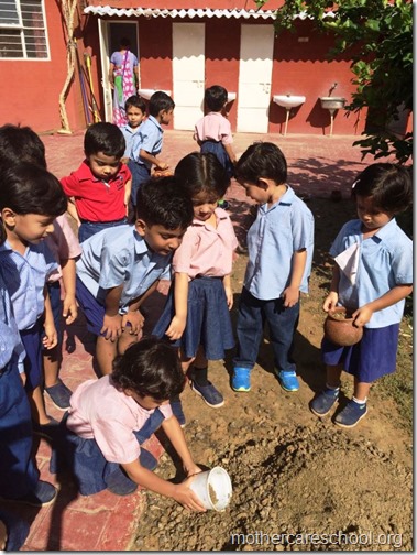 Mothercare school kids planting (14)