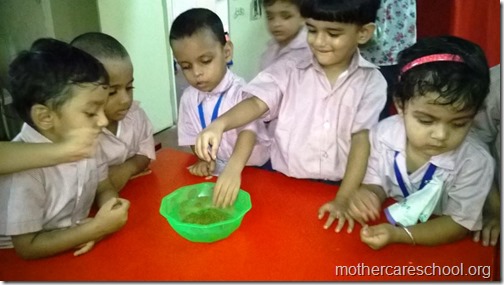 Mothercare school kids planting (16)
