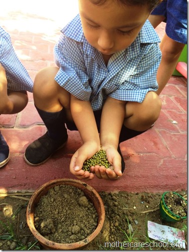 Mothercare school kids planting (4)