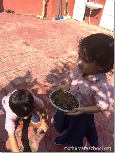 Mothercare school kids planting (5)