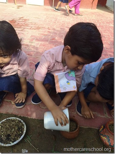 Mothercare school kids planting (6)