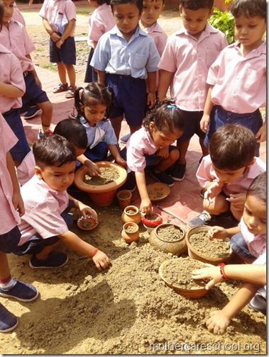 Mothercare school kids planting (7)