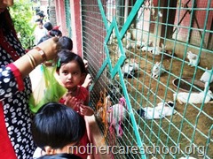 rakhee celebrations at mothercare school lucknow (20)