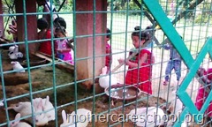 rakhee celebrations at mothercare school lucknow (31)
