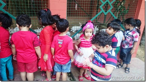 Red Day at Mothercare Nursery school Lucknow (13)