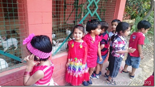 Red Day at Mothercare Nursery school Lucknow (15)