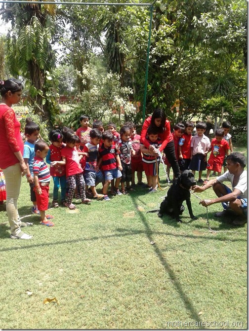 Red Day at Mothercare Nursery school Lucknow (19)