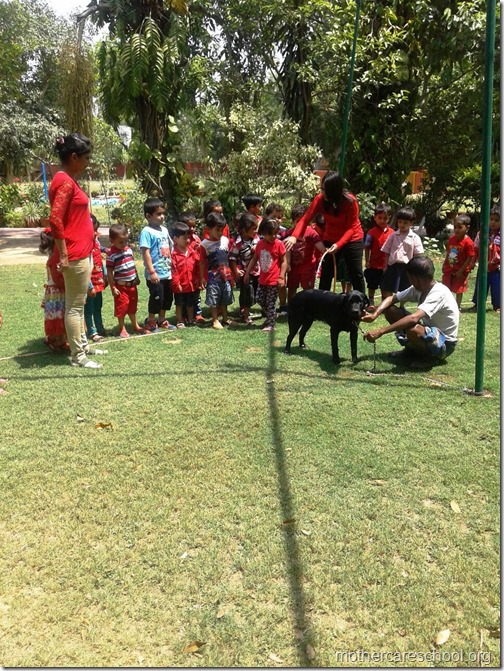 Red Day at Mothercare Nursery school Lucknow (5)