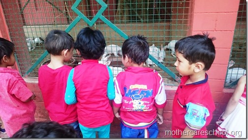 Red Day at Mothercare Nursery school Lucknow (6)