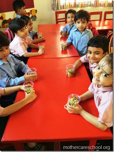 Sprouts are ready at Mothercare school Lucknow (2)