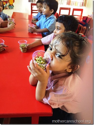 Sprouts are ready at Mothercare school Lucknow (7)